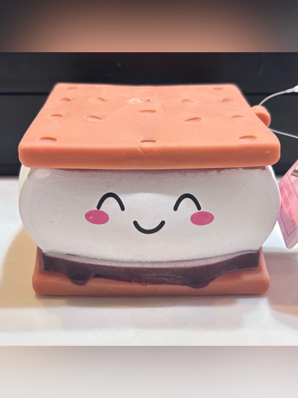 Smores Squishy NWT
